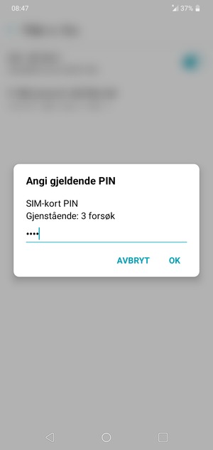 Skriv inn Gjeldende SIM-kort PIN og velg OK