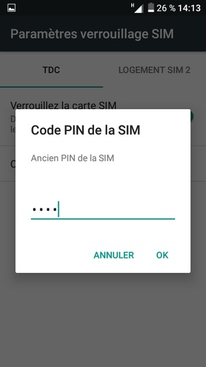 Saisissez votre Ancien PIN de la SIM et sélectionnez OK