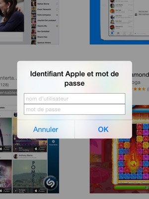 Saisissez votre Identifiant Apple et mot de passe et sélectionnez OK
