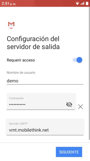 Introduzca la dirección de servidor saliente