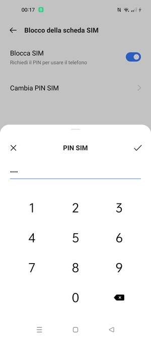 Inserisci Nuovo PIN per questa scheda SIM e seleziona OK