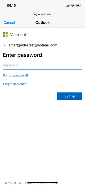 Enter your Password and select Sign in