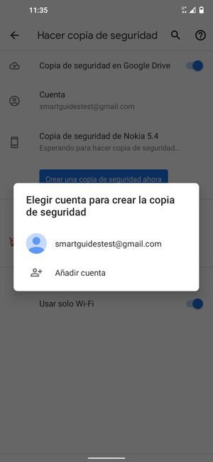 Seleccione su cuenta de copia de seguridad