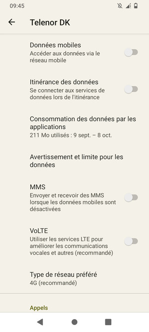 Faites défiler et sélectionnez Type de réseau préféré