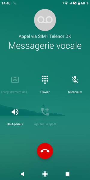 Si votre messagerie vocale appelle comme sur cet écran, votre téléphone est configuré correctement.