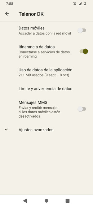 Activar o desactivar Itinerancia de datos