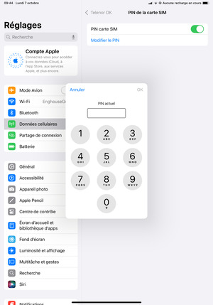 Saisissez votre PIN actuel et sélectionnez OK