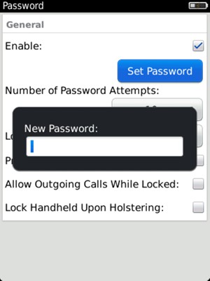 Enter a password and press Enter