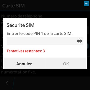 Saisissez le code PIN de votre carte SIM et sélectionnez OK