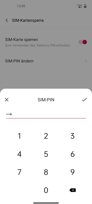 Geben Sie Ihre Alte PIN der SIM-Karte ein und wählen Sie OK