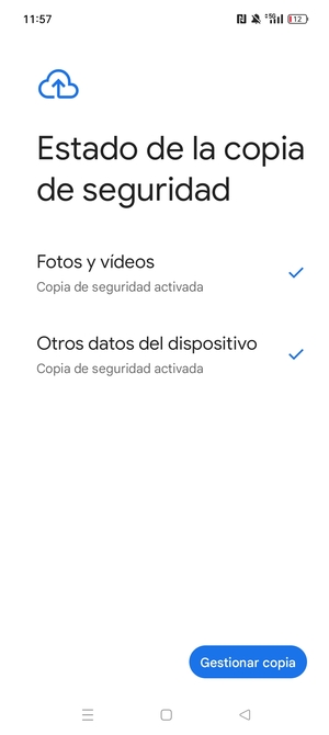 Seleccione Gestionar copia