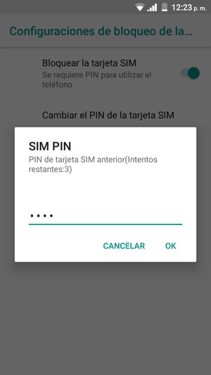 Introduzca su PIN de tarjeta SIM anterior y seleccione OK