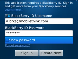 Enter your BlackBerry ID Username and Password. Select Sign In