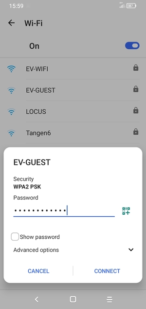 Enter the Wi-Fi password and select CONNECT