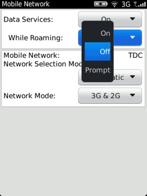 Select While Roaming and select On or Off
