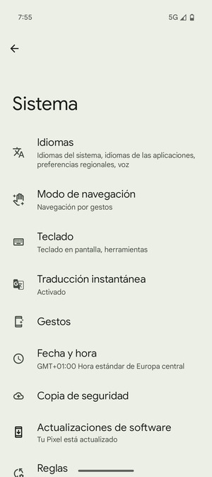 Seleccione Actualizaciones de software