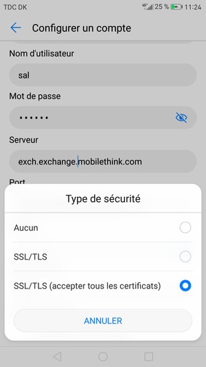 Sélectionnez SSL/TLS (accepter tous les certificats)