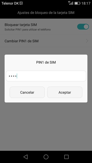 Introduzca su Nuovo PIN de SIM y seleccione Aceptar