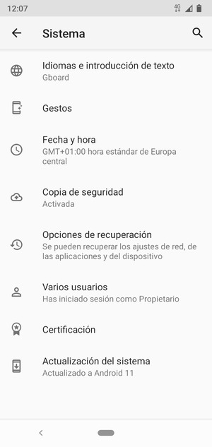 Seleccione Actualización del sistema