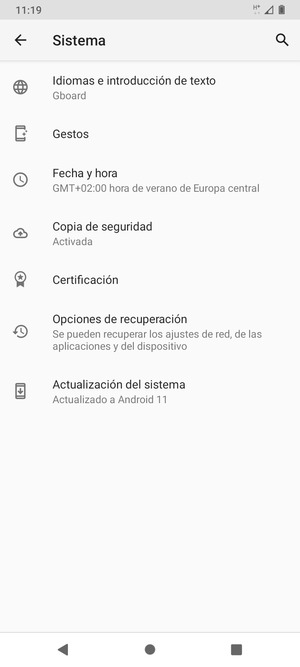 Seleccione Actualización del sistema