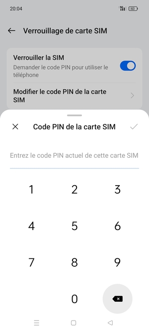 Saisissez Code PIN actuel de la carte SIM et sélectionnez OK