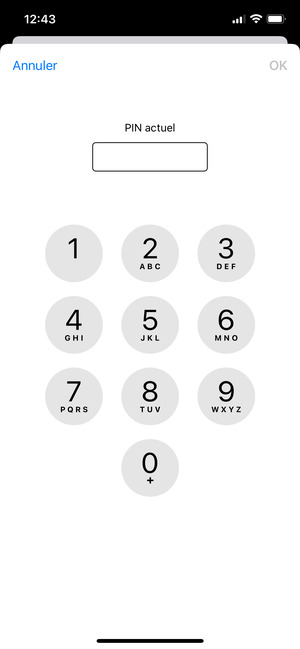 Saisissez votre PIN actuel et sélectionnez OK