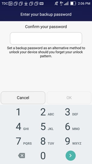 Confirm your backup password and select OK