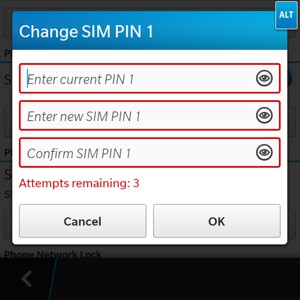 Enter your Current and New SIM PIN. Confirm the New SIM PIN and select OK