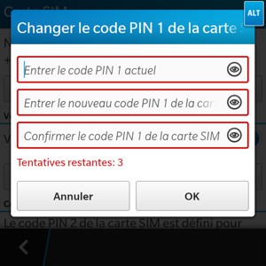 Entrez votre Code PIN actuel et votre Nouveau code PIN. Confirmez le Nouveau code PIN de la carte SIM et appuyez sur OK