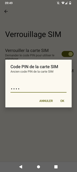 Saisissez votre Ancien code PIN de la carte SIM et sélectionnez OK