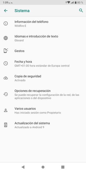 Seleccione Actualización del sistema