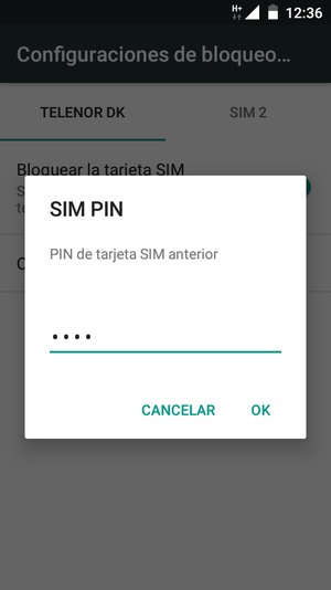 Introduzca su PIN de tarjeta SIM actual y seleccione OK