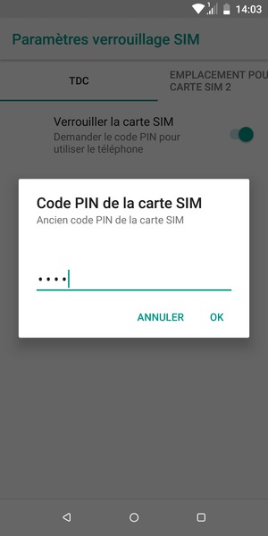 Saisissez votre Ancien code PIN de la carte SIM et sélectionnez OK