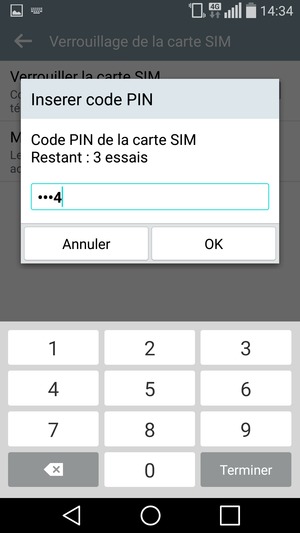 Saisissez votre Code PIN de la carte SIM actuel et sélectionnez OK